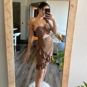 Revolve Dress